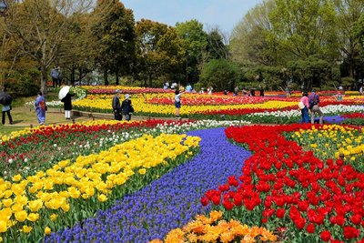 🏞️ 국영 기소산센 공원 와일드네이처 플라자(고쿠에이키소산센코엔 와이루도네이차푸라자) 이미지 2